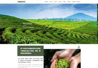 清新自然风格外贸网站的色彩搭配