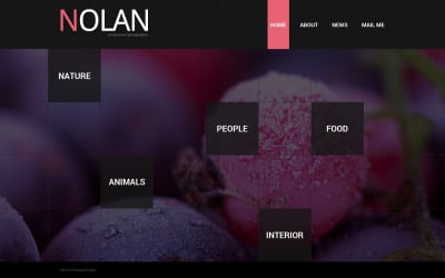 新乡网站建设公司