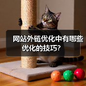 网站外链优化中有哪些优化的技巧？
