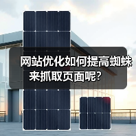 网站优化如何提高蜘蛛来抓取页面呢？