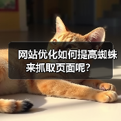 网站优化如何提高蜘蛛来抓取页面呢？