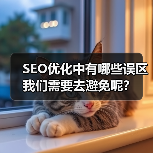 SEO优化中有哪些误区我们需要去避免呢？
