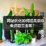 网站优化如何提高蜘蛛来抓取页面呢？