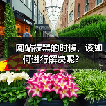 网站被黑的时候，该如何进行解决呢？