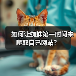 如何让蜘蛛第一时间来爬取自己网站？（图4）