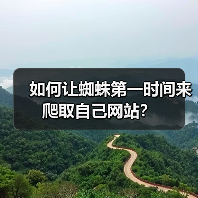 如何让蜘蛛第一时间来爬取自己网站？（图2）