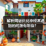 解析网站优化中经常遇到的问题有哪些？（图3）