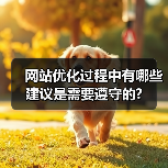 网站优化过程中有哪些建议是需要遵守的?（图4）
