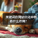 关键词在网站优化中有着什么作用？（图1）