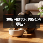 解析网站优化的好处有哪些？（图3）