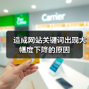 造成网站关键词出现大幅度下降的原因（图4）