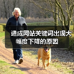造成网站关键词出现大幅度下降的原因（图1）