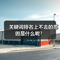 关键词排名上不去的原因是什么呢？（图4）