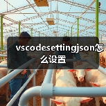 vscodesettingjson怎么设置（图1）