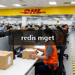 redis mget（图2）