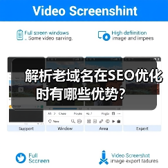 解析老域名在SEO优化时有哪些优势？（图1）