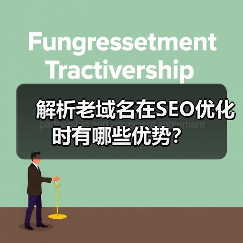 解析老域名在SEO优化时有哪些优势？（图4）