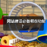 网站建设必备哪些功能？（图3）