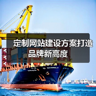 定制网站建设方案打造品牌新高度（图2）