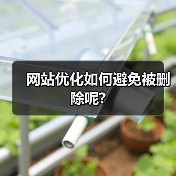 网站优化如何避免被删除呢?（图3）