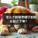 怎么才能将关键字的排名稳定下来？（图4）