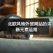 北欧风格外贸网站的清新元素运用（图4）