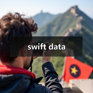 swift data（图1）