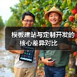 模板建站与定制开发的核心差异对比