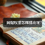网站权重怎样提高呢？（图3）