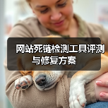 网站死链检测工具评测与修复方案（图1）