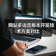 网站多语言版本开发技术方案对比（图1）