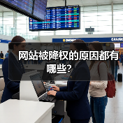 网站被降权的原因都有哪些？（图2）