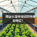 网站长尾关键词具有哪些特征？（图3）