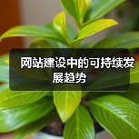 网站建设中的可持续发展趋势（图4）