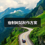 定制网站制作方案（图1）