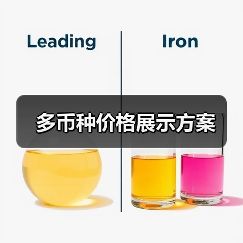 多币种价格展示方案(图2) 多币种价格展示方案(图2)