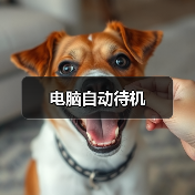 电脑自动待机（图2）