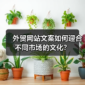 外贸网站文案如何迎合不同市场的文化？（图3）