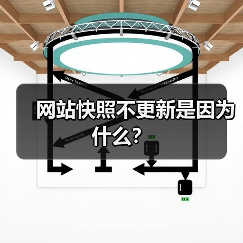 网站快照不更新是因为什么？