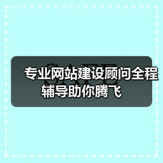 专业网站建设顾问全程辅导助你腾飞（图1）