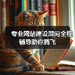 专业网站建设顾问全程辅导助你腾飞（图3）