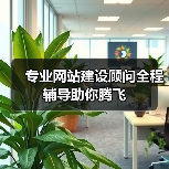 专业网站建设顾问全程辅导助你腾飞（图2）