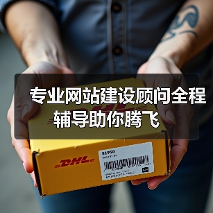 专业网站建设顾问全程辅导助你腾飞（图4）