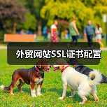 外贸网站SSL证书配置（图3）