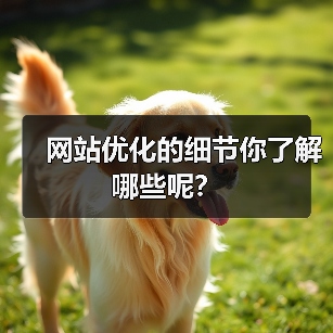 网站优化的细节你了解哪些呢？（图4）