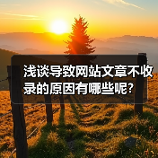 浅谈导致网站文章不收录的原因有哪些呢？（图4）