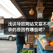 浅谈导致网站文章不收录的原因有哪些呢？（图2）