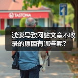 浅谈导致网站文章不收录的原因有哪些呢？（图1）