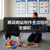 高端网站制作全流程标准解析（图1）