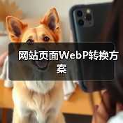 网站页面WebP转换方案（图2）